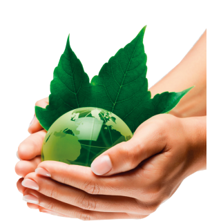 Asesoría y acompañamiento en la organización, planeación y ejecución de eventos con un enfoque en sostenibilidad