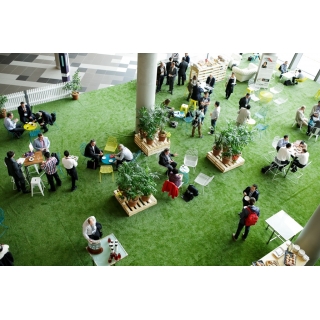 Asesoría y acompañamiento en la organización, planeación y ejecución de eventos con un enfoque en sostenibilidad